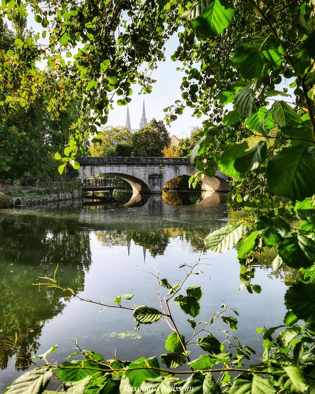 Chartres Garden